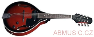 TENSON FOLK Mandolína A-1 E + POUZDRO